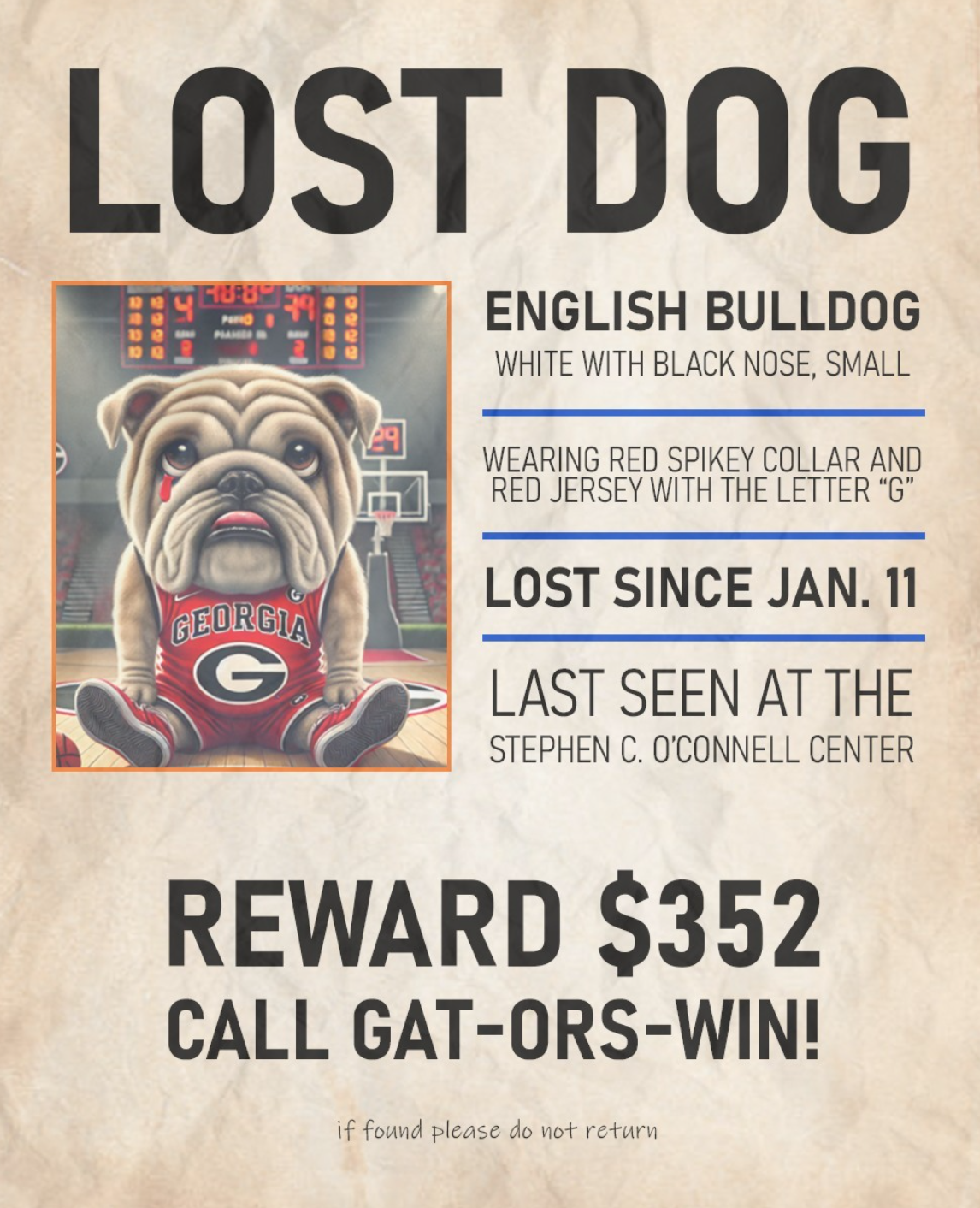 lostdog