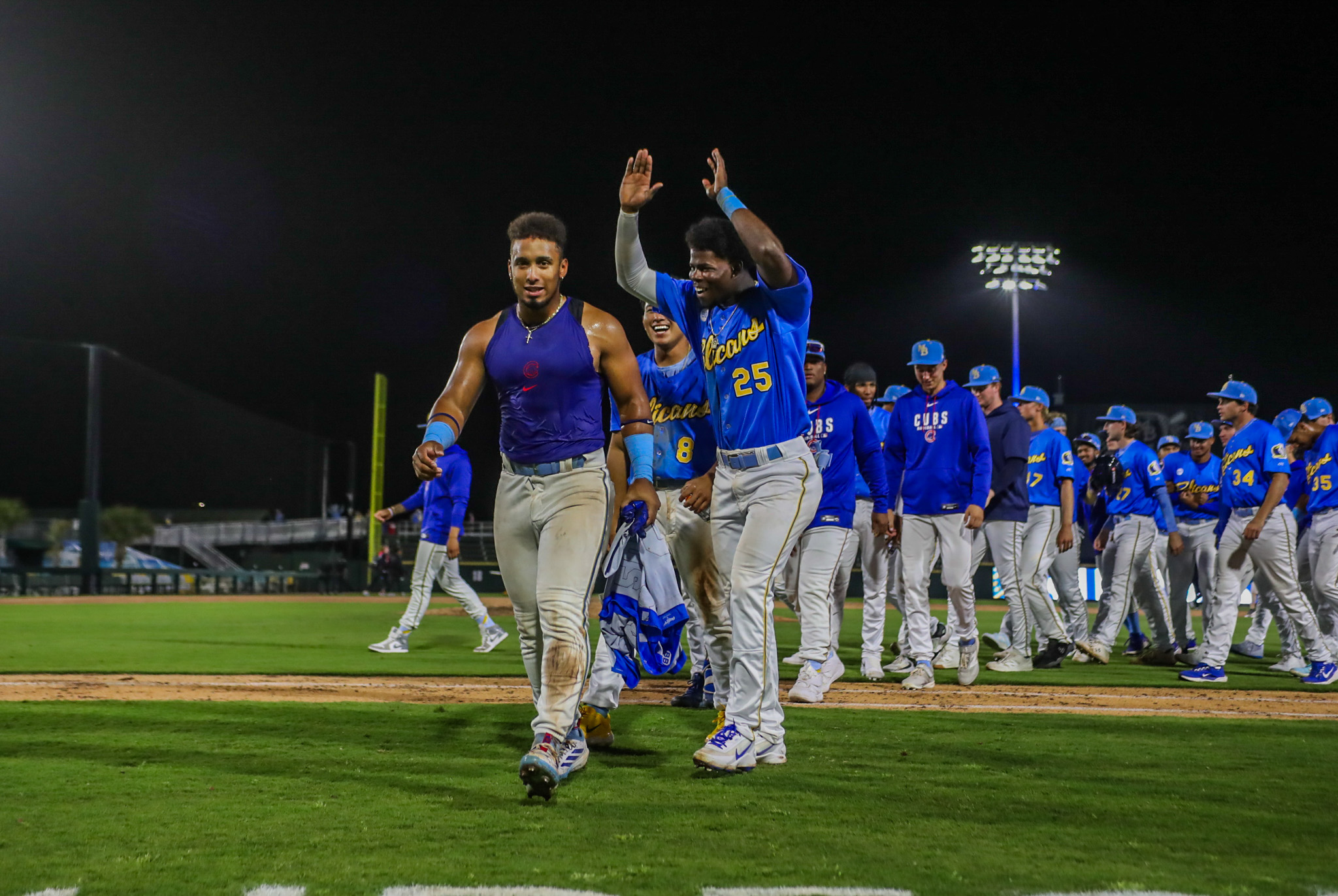 Minor League Baseball