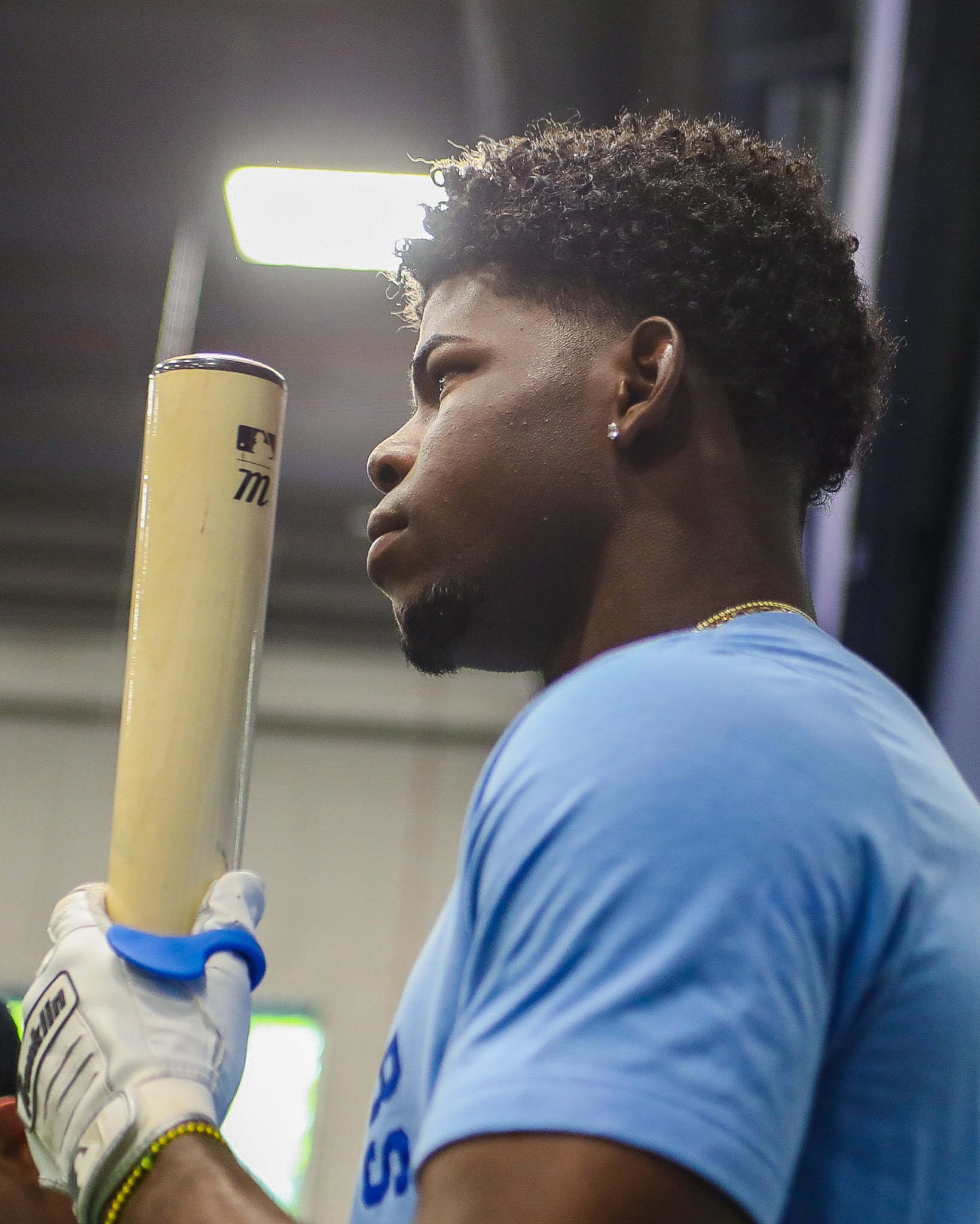 Minor League Baseball Photo
